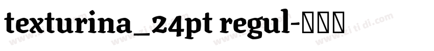 texturina_24pt regul字体转换 texturina_24pt regul字体转换